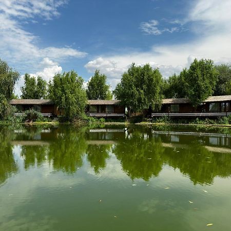 Hotel Zaga Zaga Sat Tecuci Exteriér fotografie
